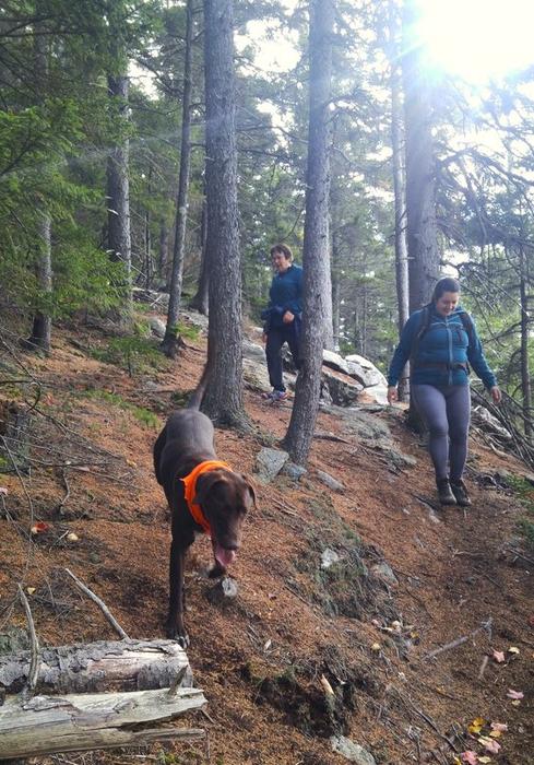 Hikers enjoying the Rock Castle Loop (Credit: Gabe Perkins)