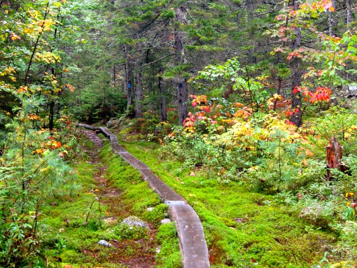 Russell Pond Trail (Credit: Hope Rowan)