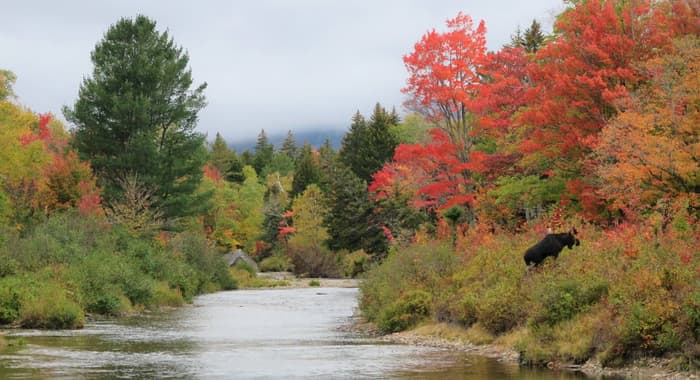 Wassataquoik Stream Crossing, Russell Pond Trail (Credit: Hope Rowan)