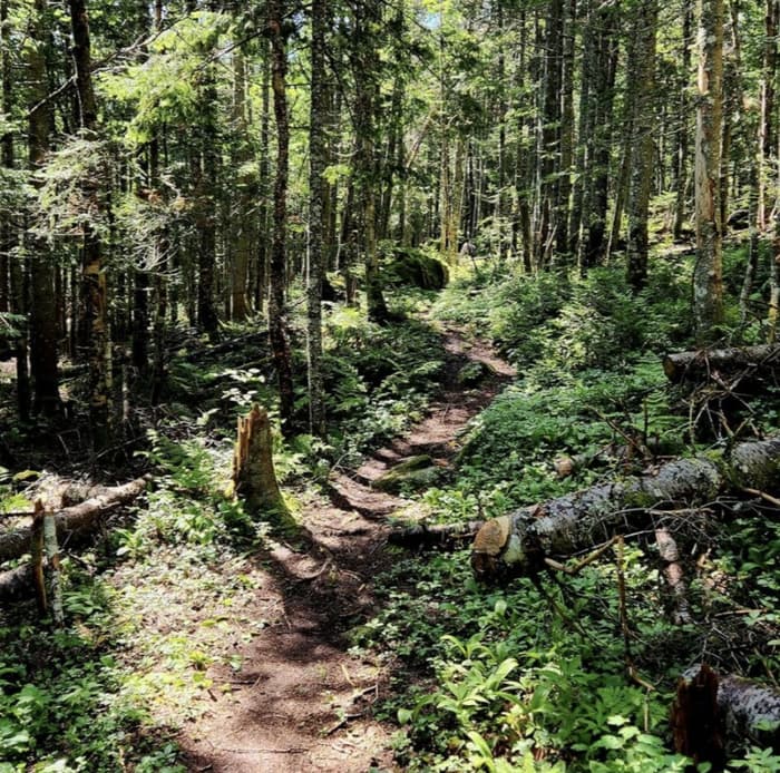 Trail (Credit: High Peaks Alliance)