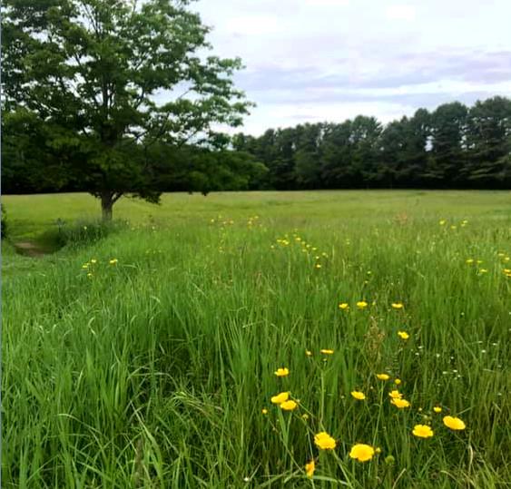 Sayles Fields (Credit: FCT)