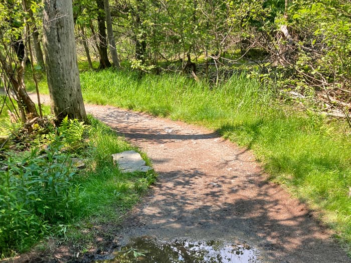 (Credit: Hope Rowan)