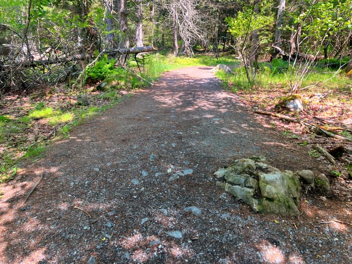 Inner Loop (Credit: Hope Rowan)