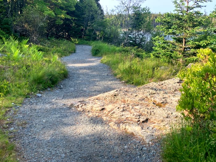 (Credit: Hope Rowan)