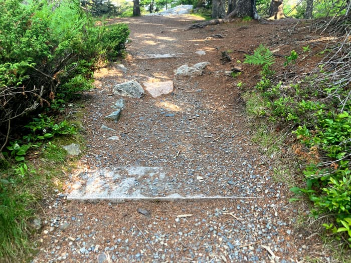 (Credit: Hope Rowan)