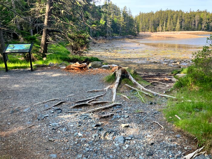 Acadia National Park - Ship Harbor Trail