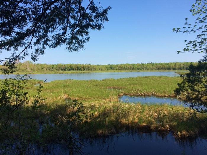 Shoreline Trail (Credit: SRLT)