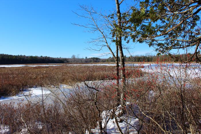 Shoreline Trail (Credit: SRLT)