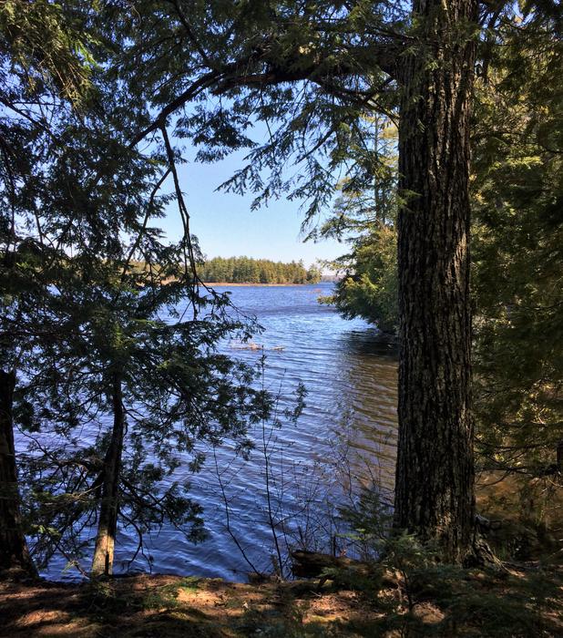 Shoreline Trail (Credit: SRLT)