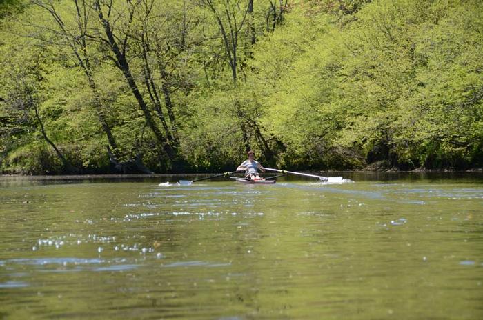 RRCT (Credit: Skulling on the Royal River)