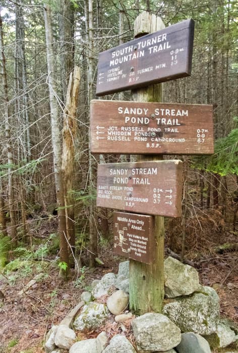 (Credit: Hope Rowan)