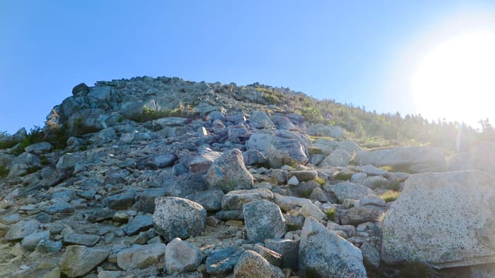 (Credit: Hope Rowan)