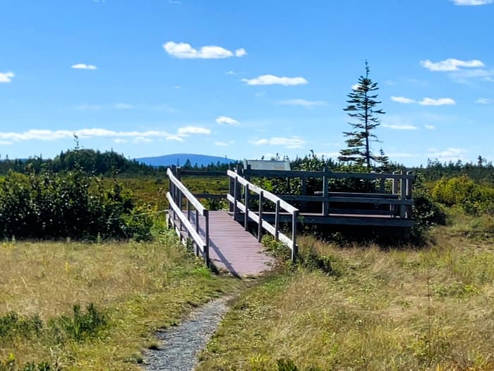Observation Platform (Credit: Hope Rowan)