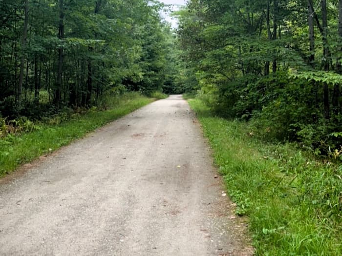 Typical trail surface (Credit: Kara Wooldrik)