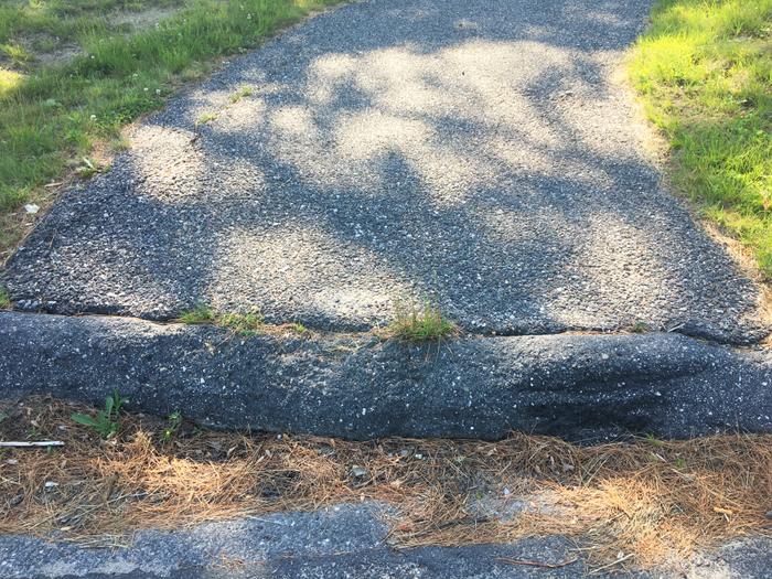 Curb between end of trail and US-1A (Credit: Hope Rowan)