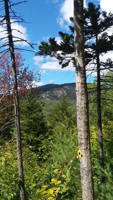 Looking North-Northeast to the back side of Sunday River (Credit: Steve Lyons)