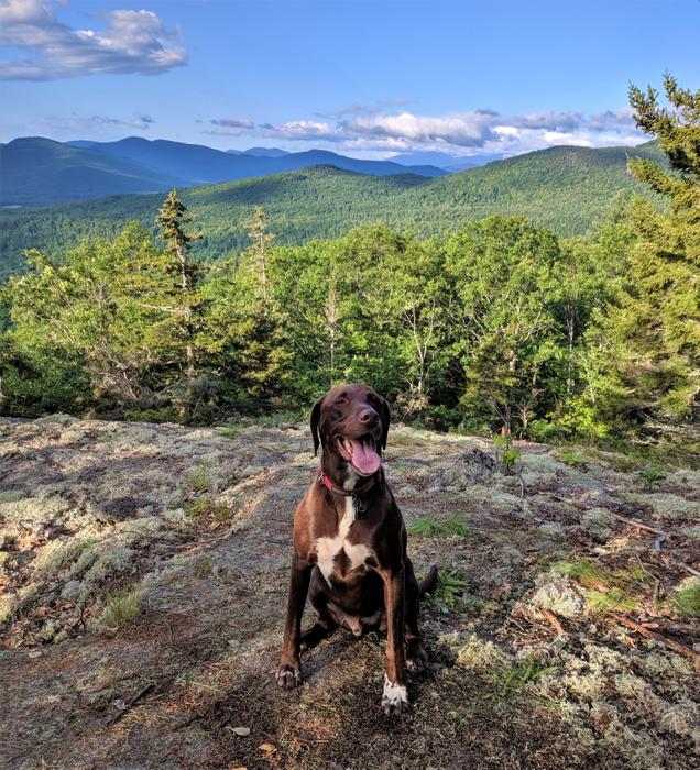 Summit Ridge Trail (Credit: Gabe Perkins)