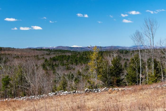 View of Mt. Washington (Credit: Jane Davis)