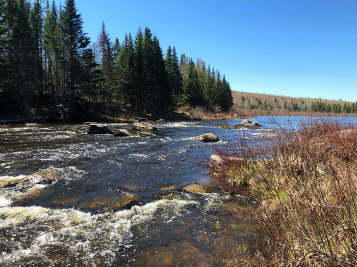 Put-in, outlet of Big Machias Lake (Credit: Zip Kellogg)