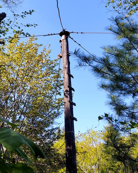 Tyron Quarry Mast (Credit: BPL)