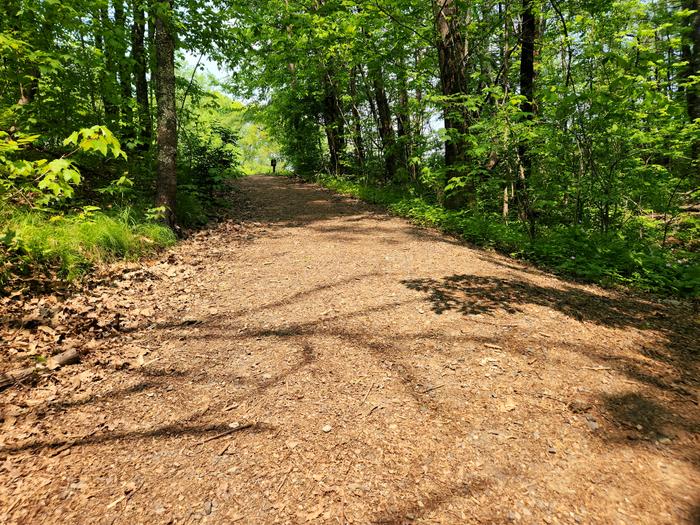 Steep hill up to trailhead (Credit: Enock Glidden)