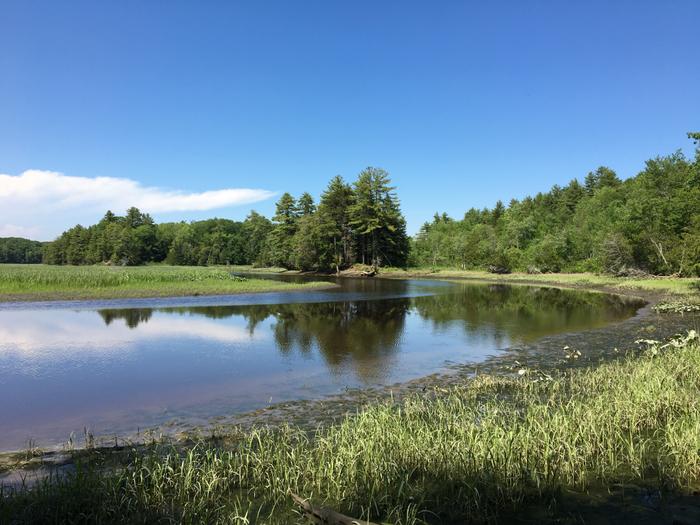 View of the Cathance River from Tarbox Preserve (Credit: BTLT)