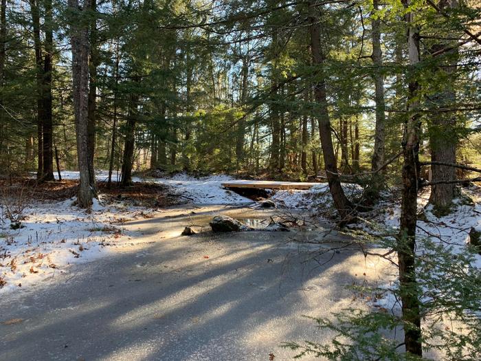 bridge (Credit: SWT)