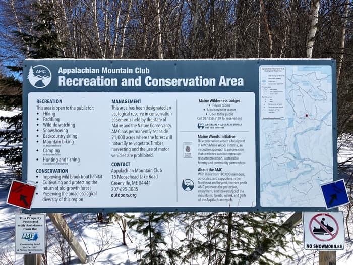 (Credit: Hope Rowan)