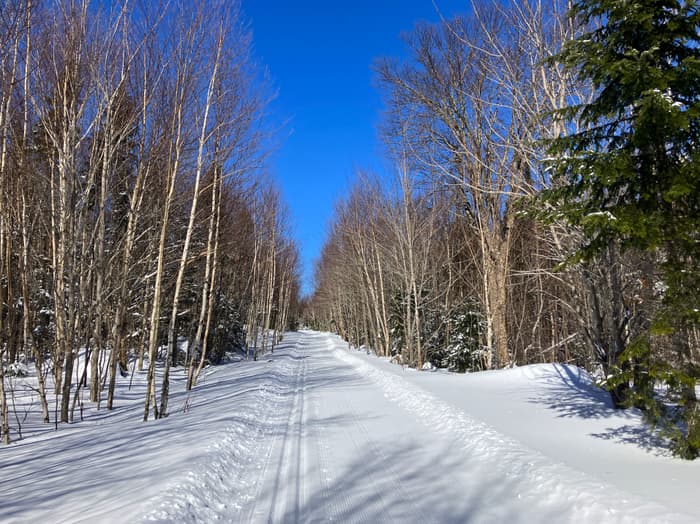 (Credit: Hope Rowan)