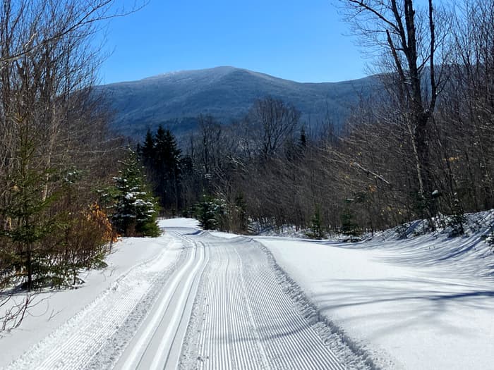 (Credit: Hope Rowan)