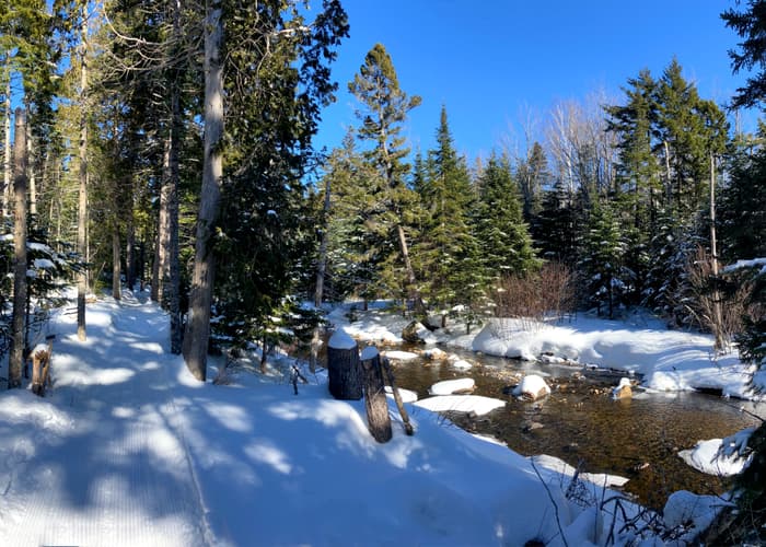 (Credit: Hope Rowan)