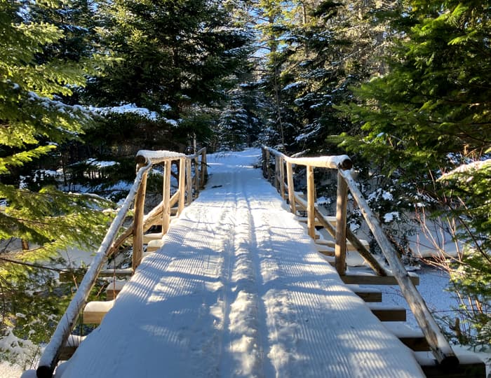 (Credit: Hope Rowan)