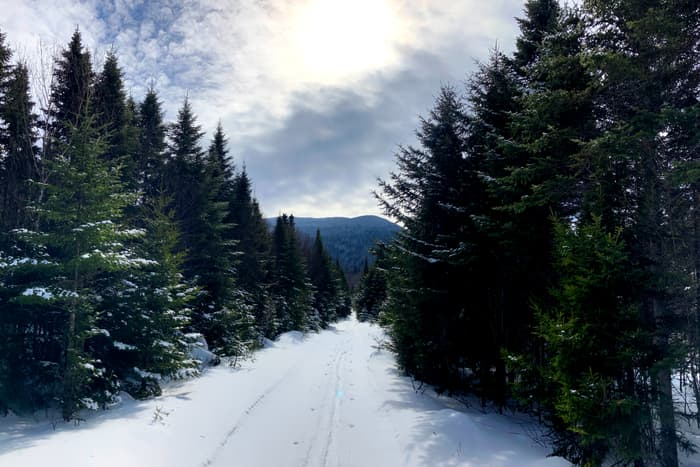 (Credit: Hope Rowan)