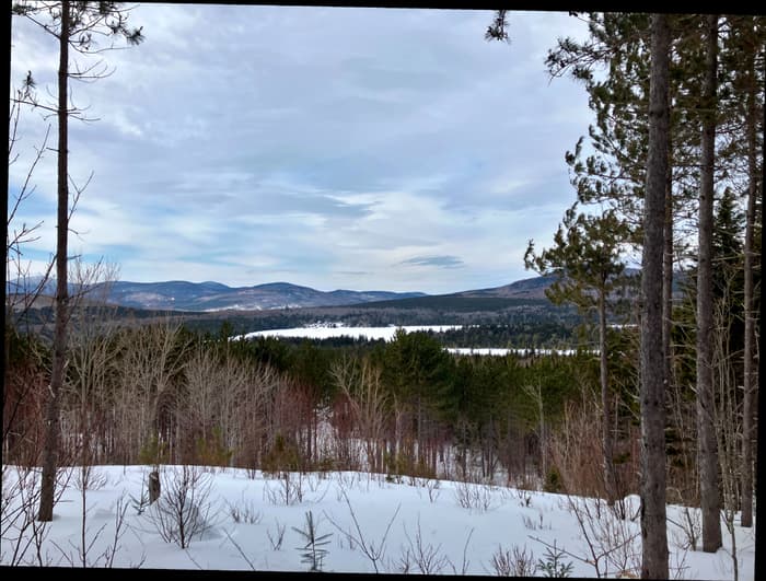 (Credit: Hope Rowan)