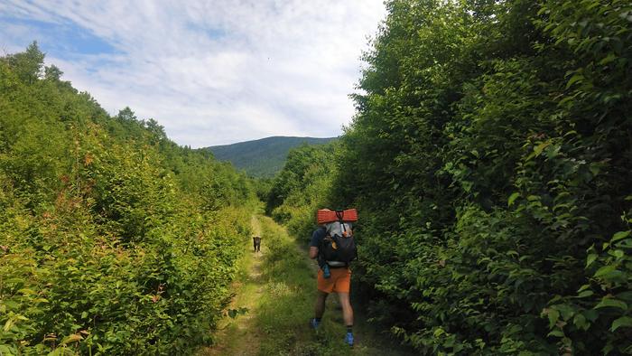 Overgrown former road, unblazed first section (Credit: Maine Appalacian Trail Land Trust)