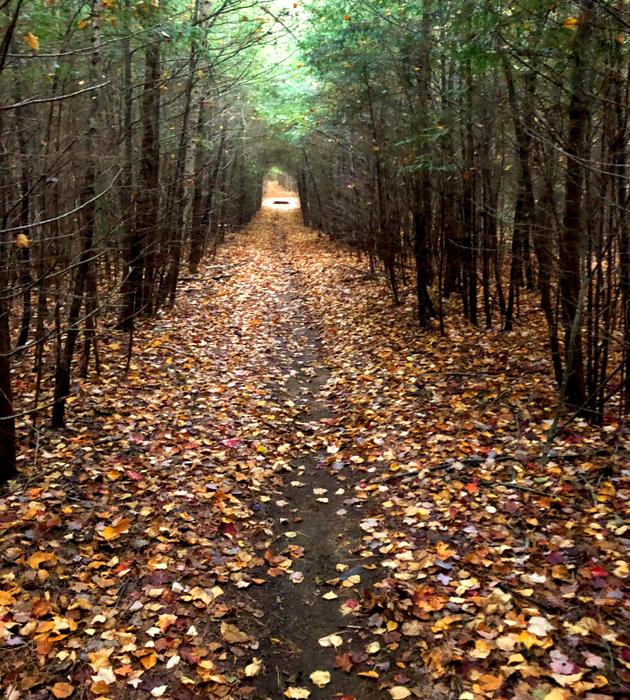 (Credit: Saco Bay Trails)