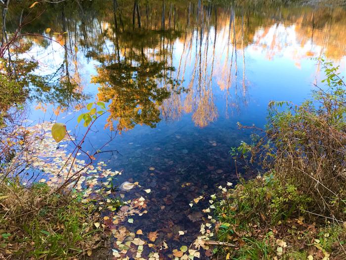 Willow Brook Trail (Credit: CELT)