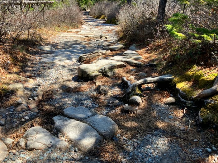 Acadia National Park - Wonderland Trail