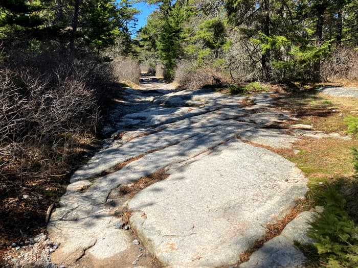 (Credit: Hope Rowan)