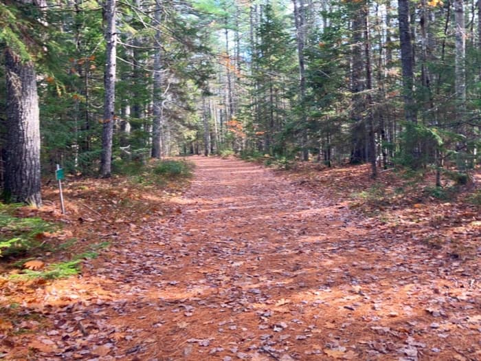 Gander Trail (Credit: Hope Rowan)