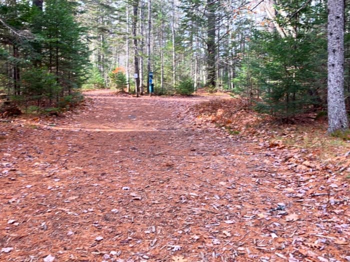 Gander Trail (Credit: Hope Rowan)