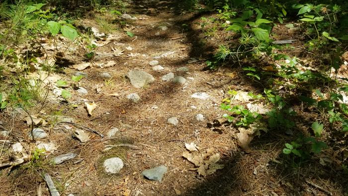 Surface of the Mayberry Hill Loop (Credit: Enock Glidden)