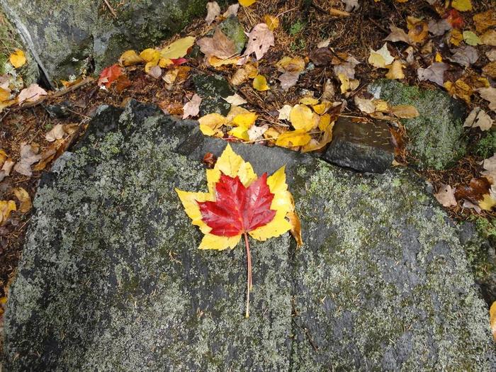 Autumn Borestone ascent (Credit: Remington34)