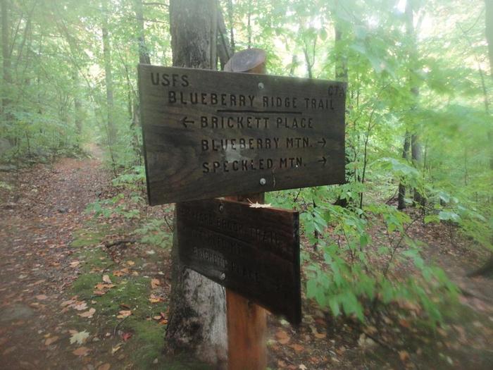 Blueberry Trail to summit of Speckled Mountain (Credit: Remington34)