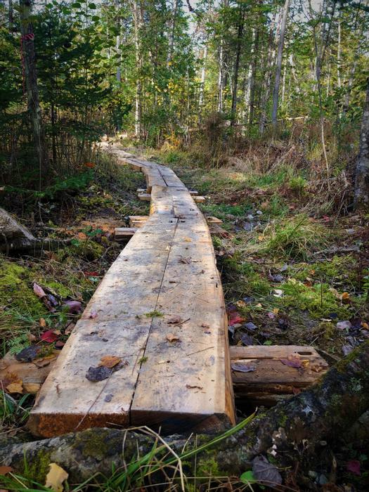 (Credit: Somerset SWCD)