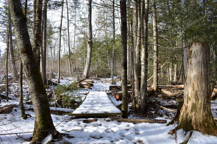 (Credit: Somerset SWCD)