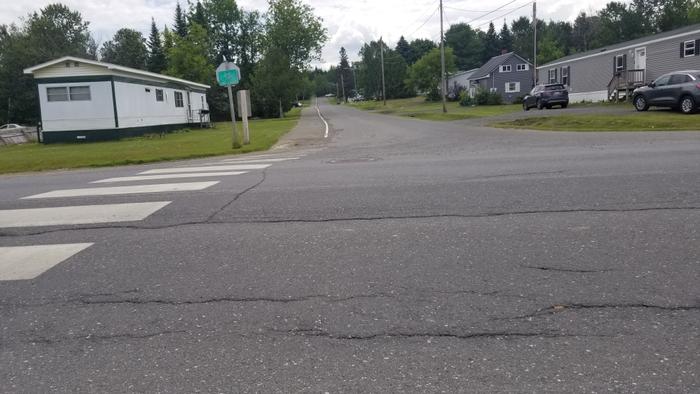 Road crossing (Credit: Enock Glidden)