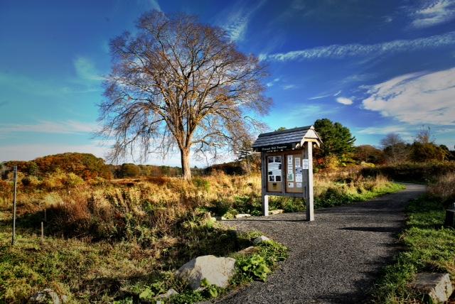 Pleasant Hill Preserve