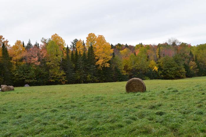 (Credit: Somerset SWCD)