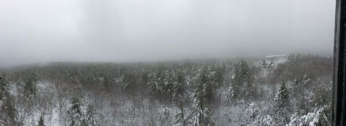 Fire tower panoramic (Credit: Robert Ratford)